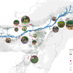 Human-Elephant Coexistence in Assam