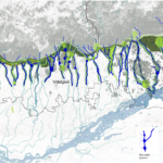 Human-Elephant Coexistence in Assam