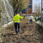 René adding worms to the Urban Bocage dry conditions