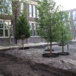 Urban Climate Grove diverse soil mixtures