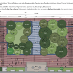 Urban Climate Grove design plan species and elevation