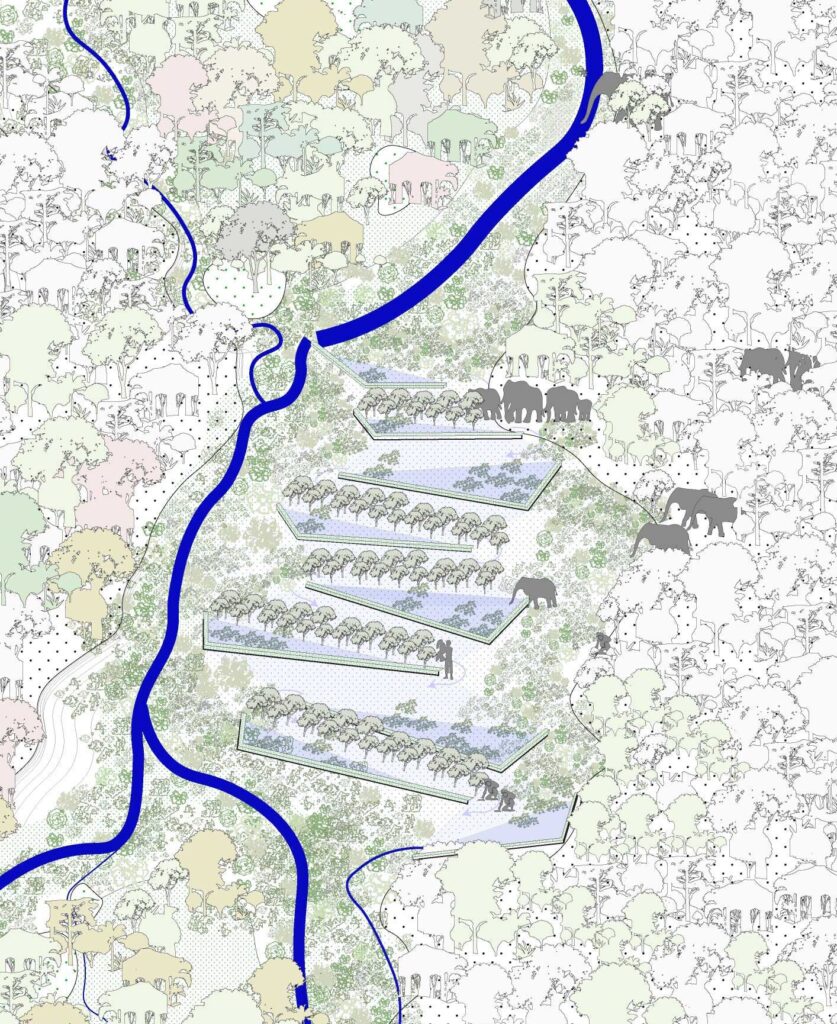 Human-Elephant Coexistence in Assam