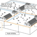 Transformation system, current dairy agricultural system